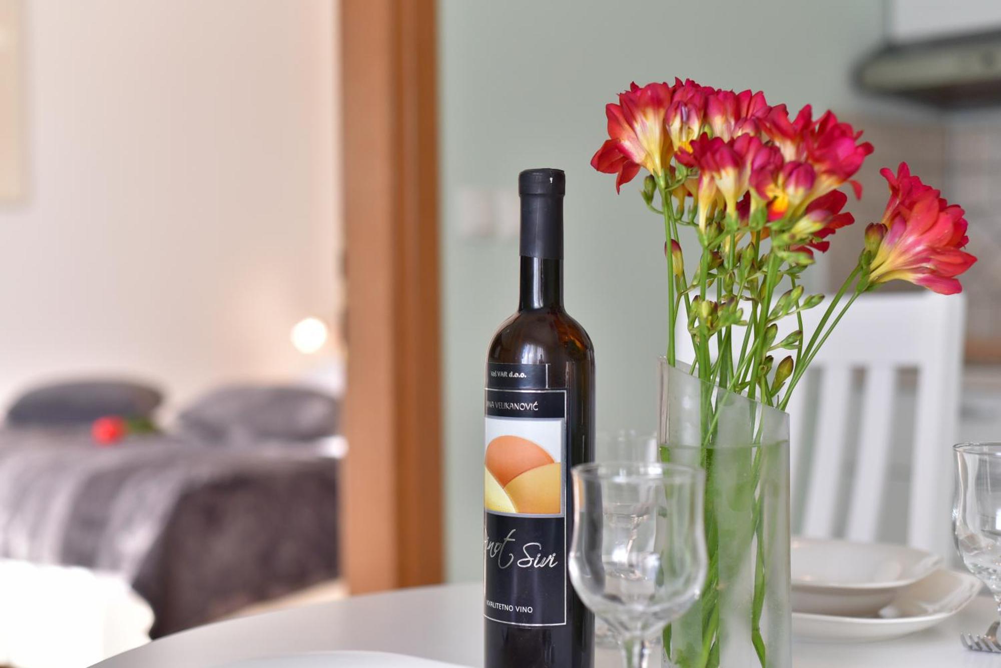 Apartman Gravic 1